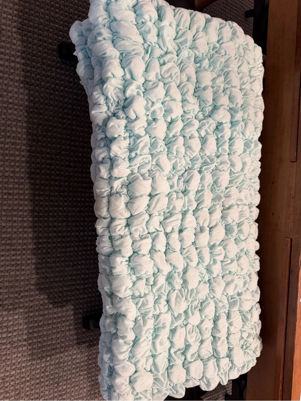 Pottery Barn Teen Ruffled Throw Blanket - Light Mint